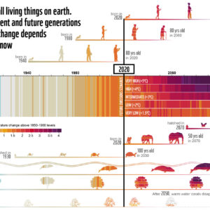 wwf ipcc timeline