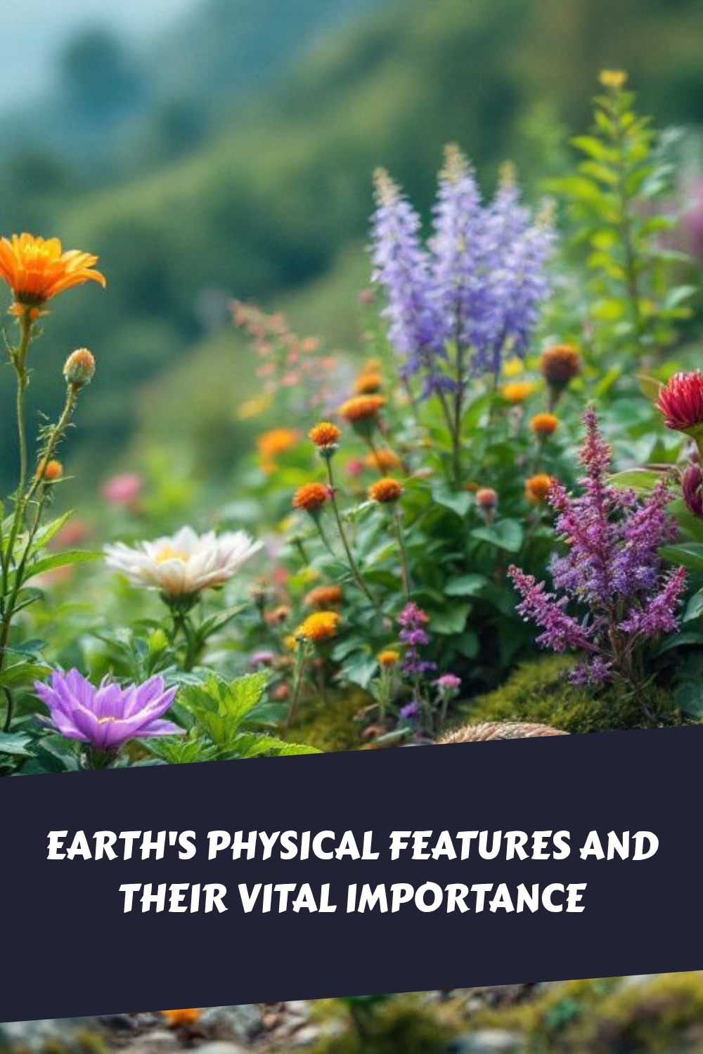 Earths Physical Features and Their Vital Importance generated pin 5318