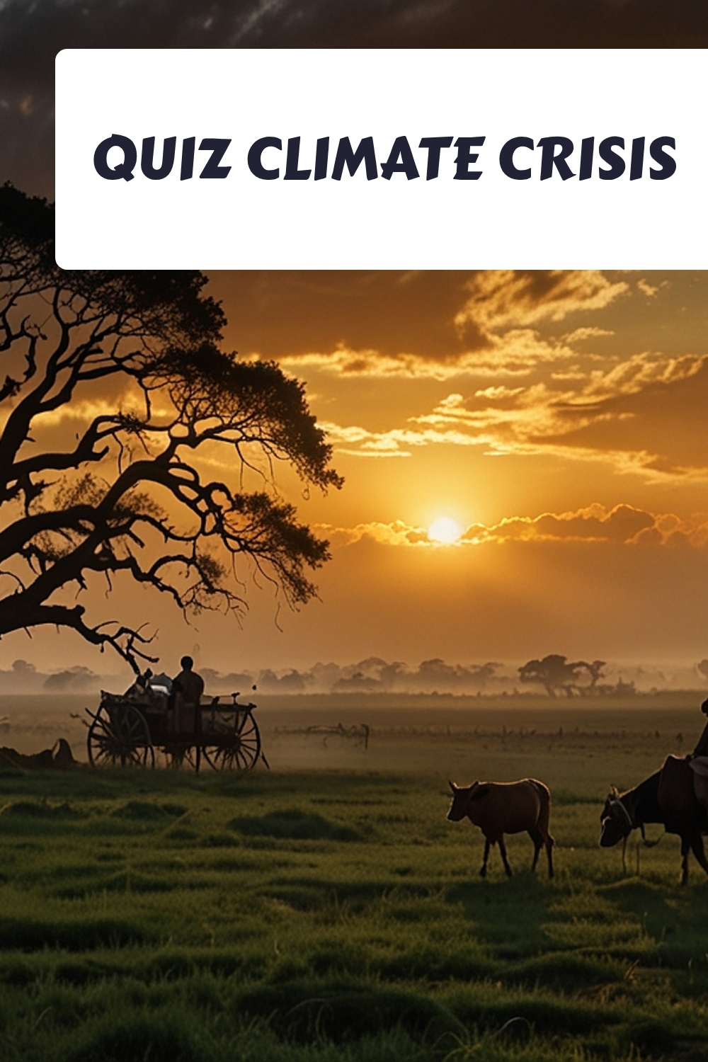 QUIZ Climate Crisis generated pin 4925 1