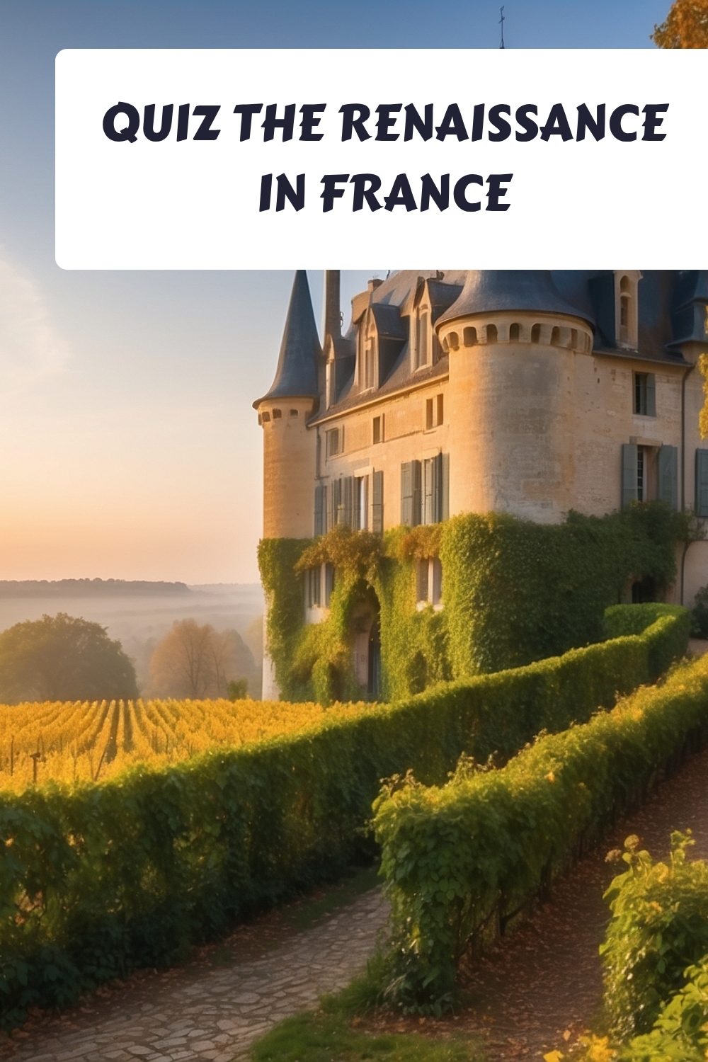 QUIZ The Renaissance in France generated pin 5815