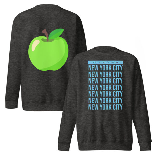 NYC Sweatshirt Blue - Image 2