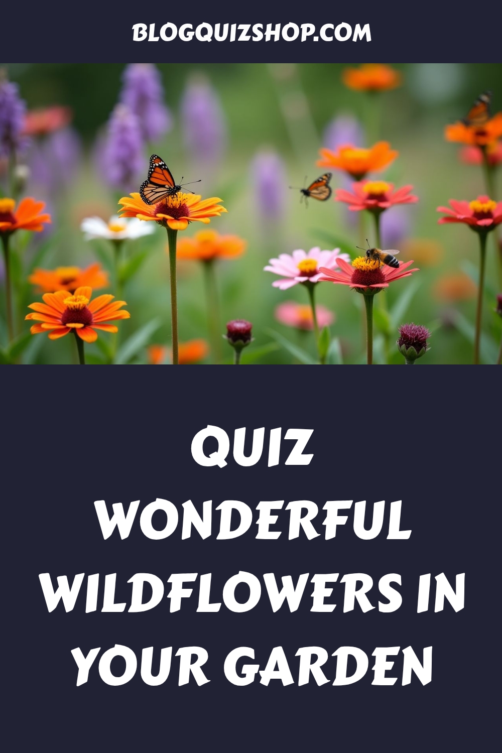 QUIZ Wonderful Wildflowers in Your Garden generated pin 19620