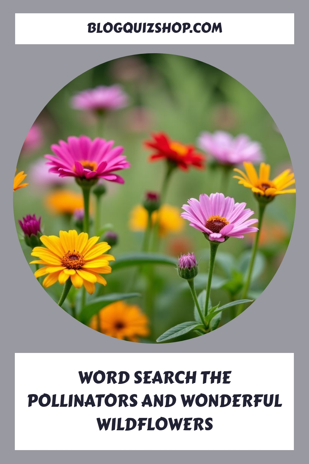 WORD SEARCH The Pollinators and Wonderful Wildflowers generated pin 20051 1