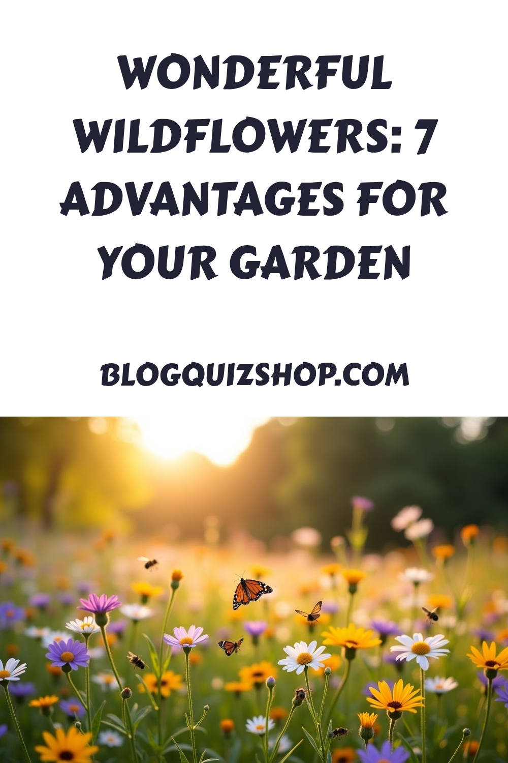 Wonderful Wildflowers 7 Advantages for Your Garden generated pin 19617