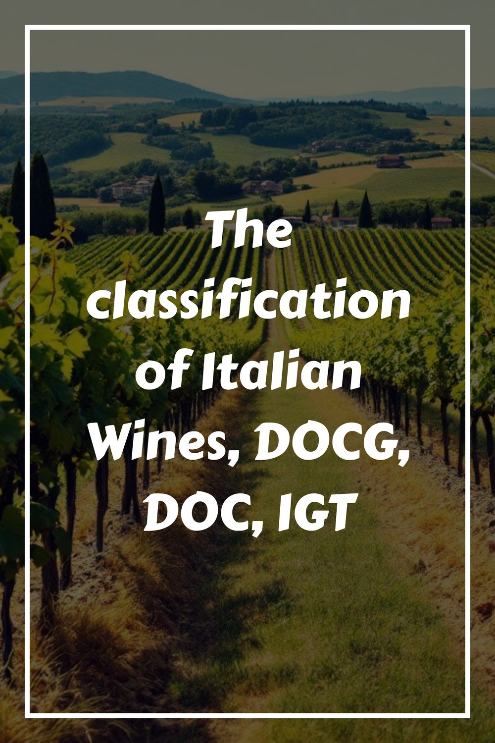 The classification of Italian Wines DOCG DOC IGT generated pin 21211