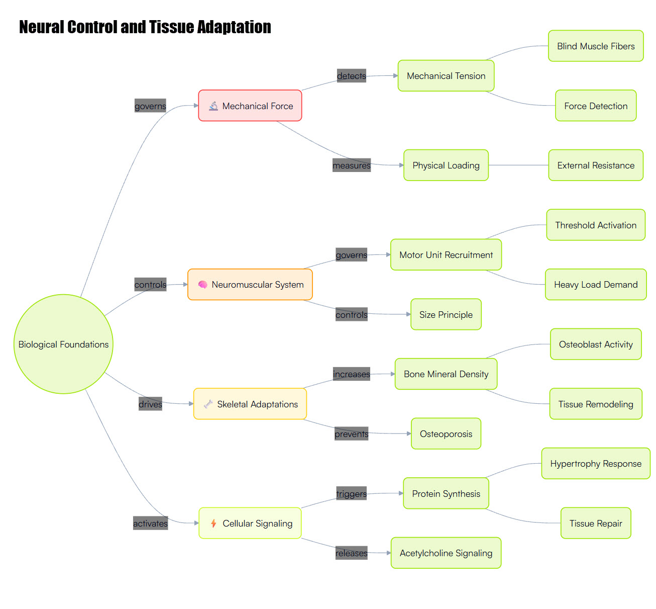 Neural Control and Tissue Adaptation
